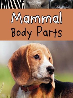 cover image of Mammal Body Parts